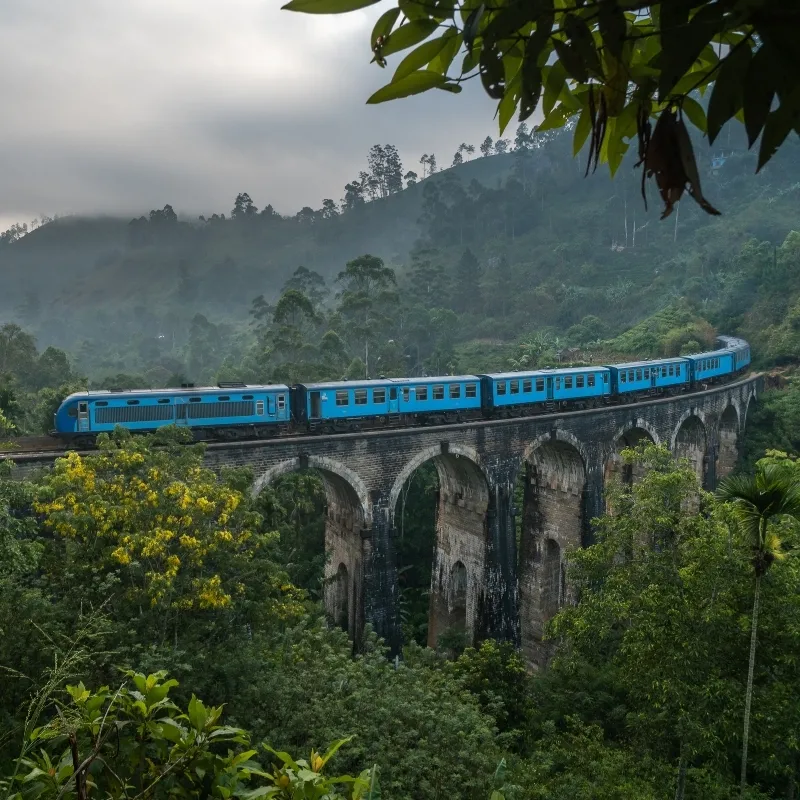 Witnessing the Nine Arches Bridge