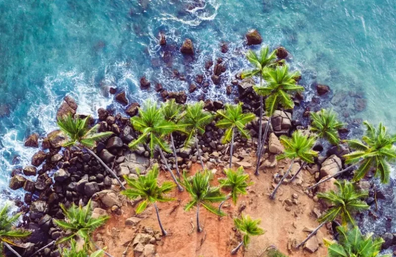 Southern Coast Escape