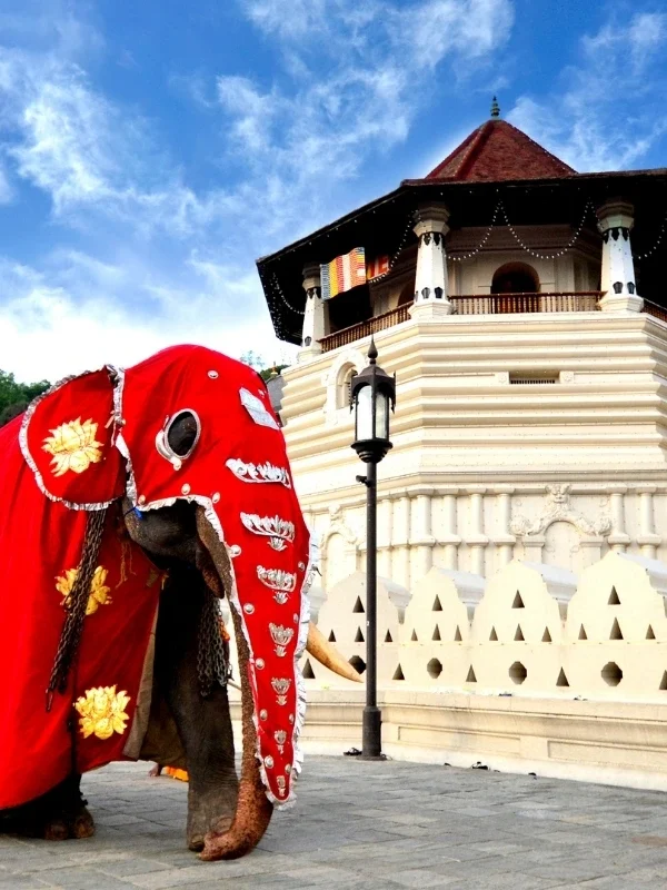 Kandy