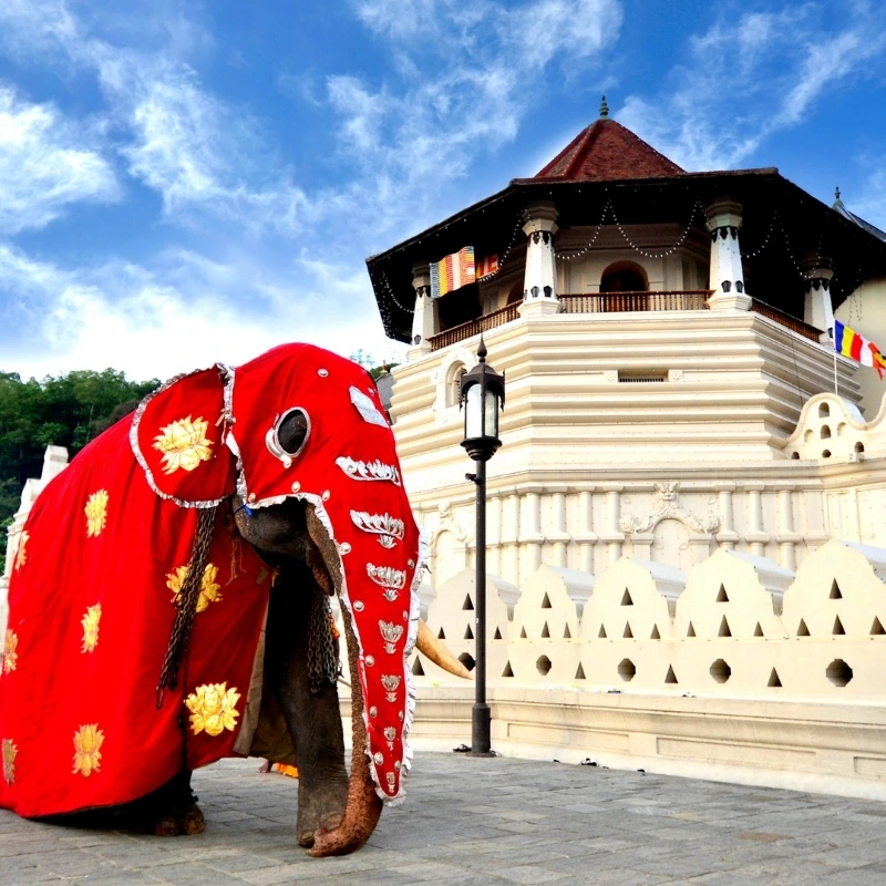 Kandy