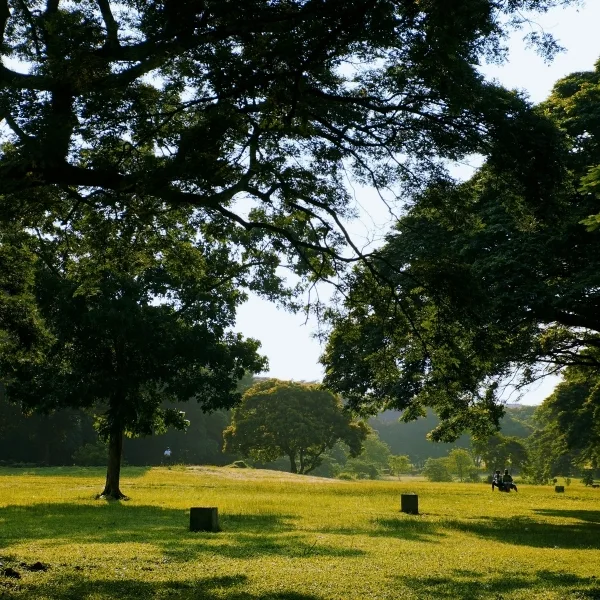 Roaming the Royal Botanical Gardens, Peradeniya