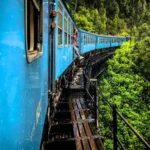 Close-up side view of a passenger hanging out of the open door of Sri Lanka's famous blue train as it curves along the historic Demodara Black Bridge over a dense jungle canopy near Ella.