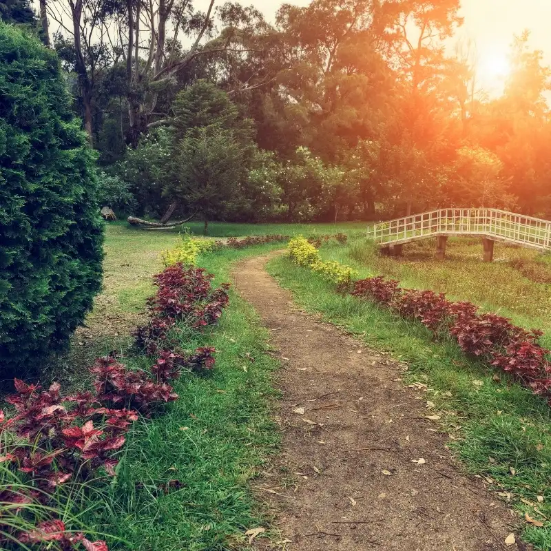 Strolling Through Victoria Park