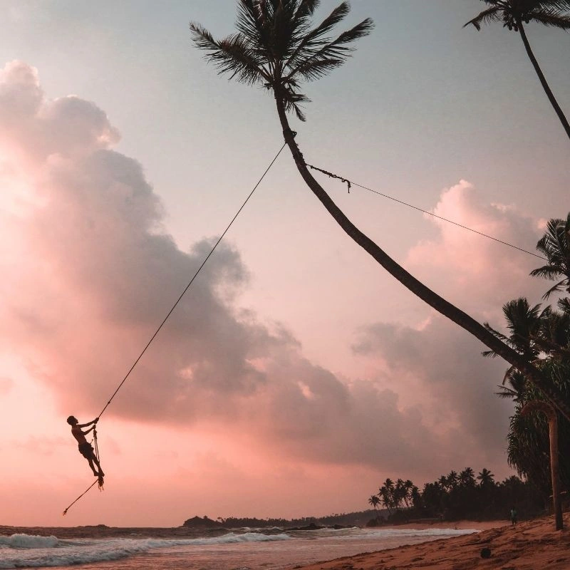 Swinging on the Famous Rope Swing