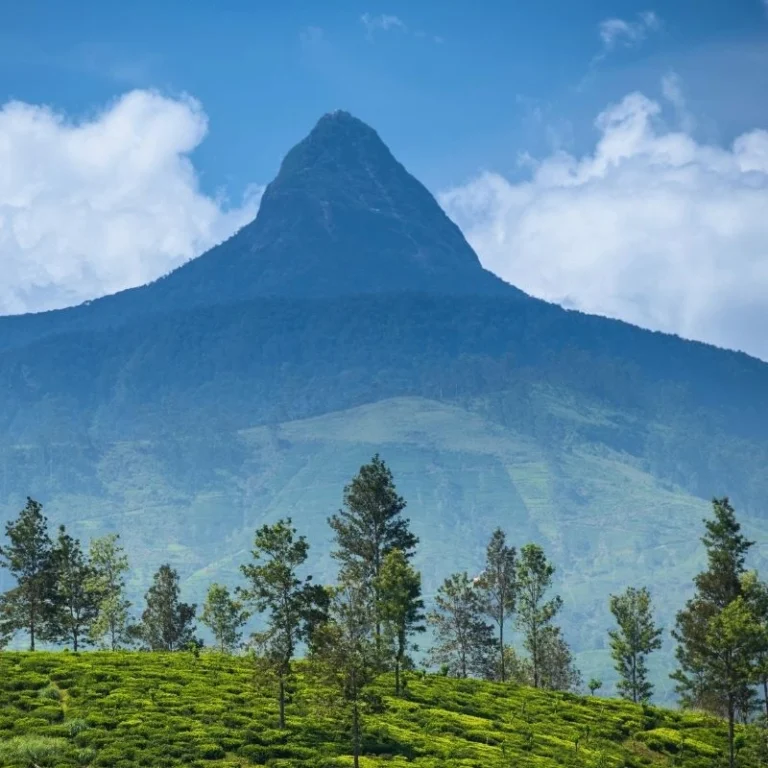 Sripada (Adam’s peak)