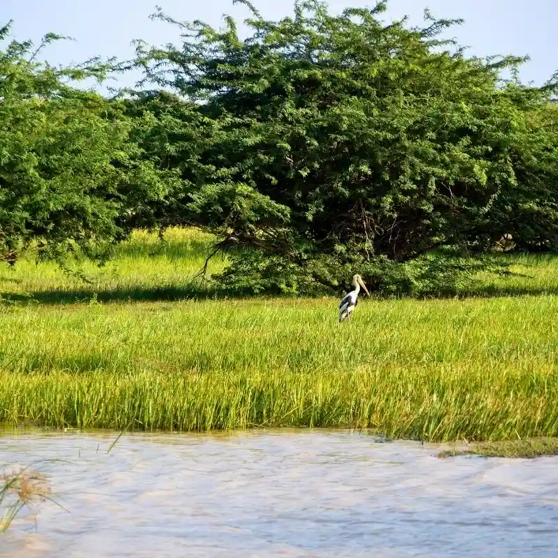 Exploring the Salt Pans and Lagoons