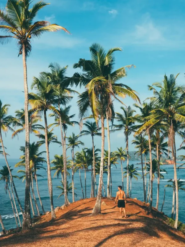 Mirissa Beach