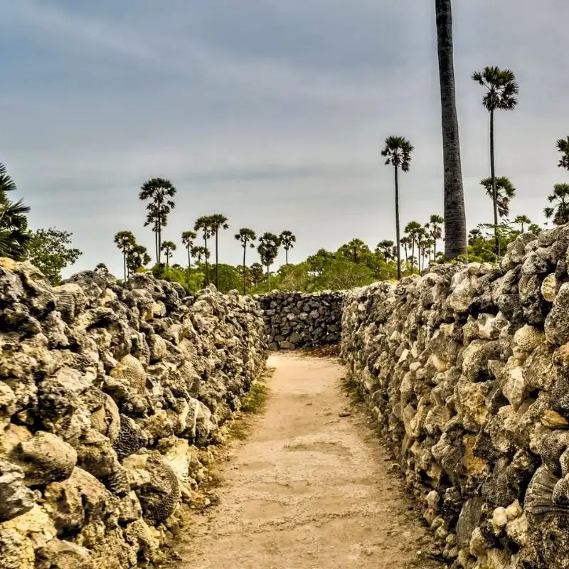 Exploring Colonial Ruins Made of Coral