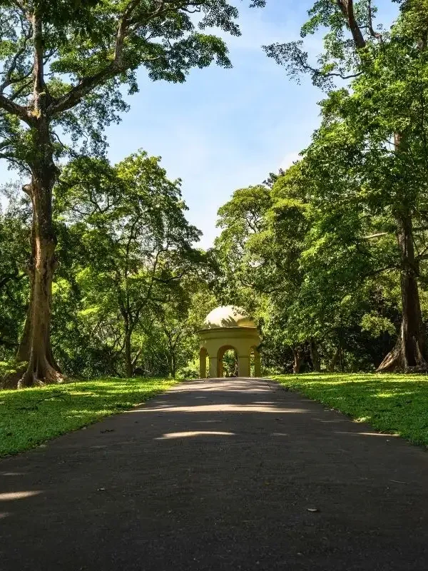 Royal Botanic Gardens, Peradeniya