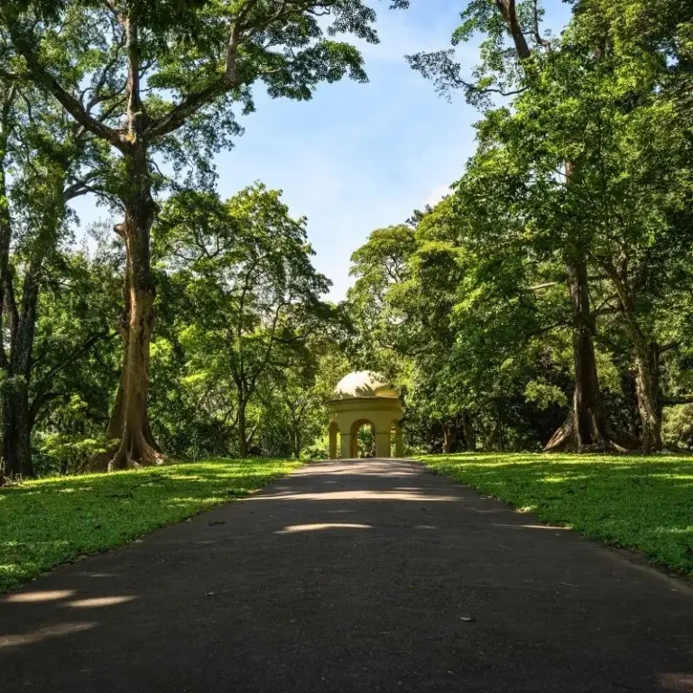 Royal Botanic Gardens, Peradeniya