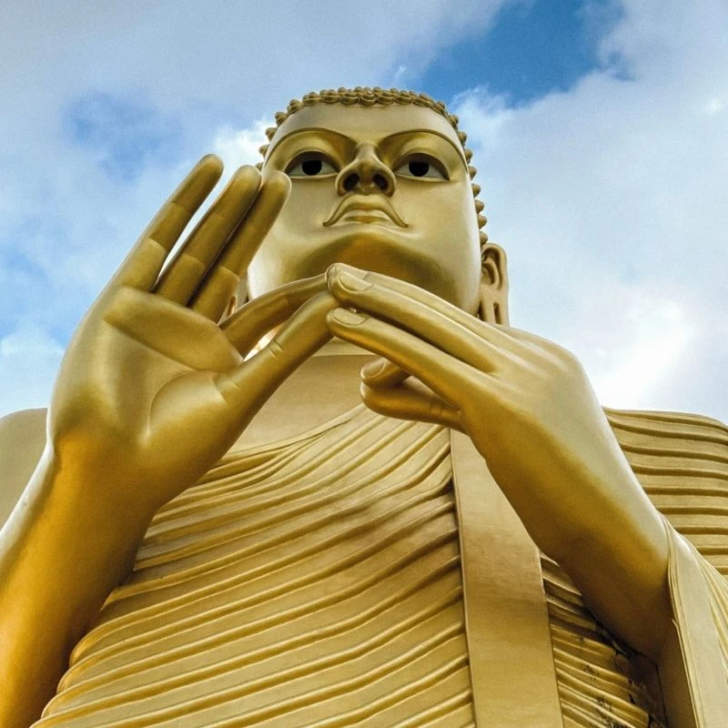 Admiring the Golden Buddha and Museum