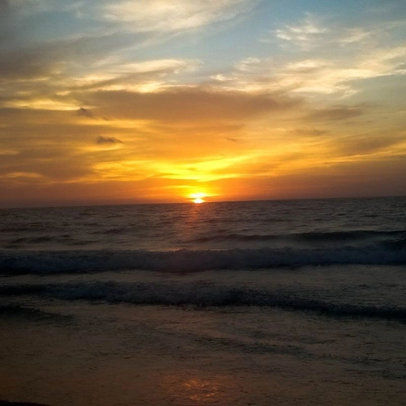 Catching the Golden Sunset