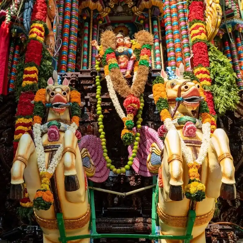 Participate in the Grand Annual Festival