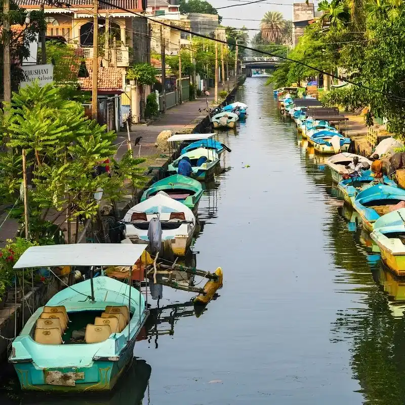 Cruise the Historic Dutch Canals