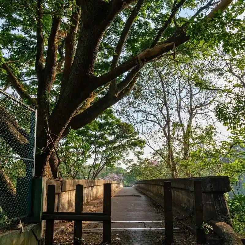 Cross the Historic Suspension Bridge