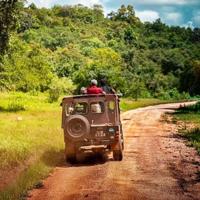 The Afternoon Jeep Safari