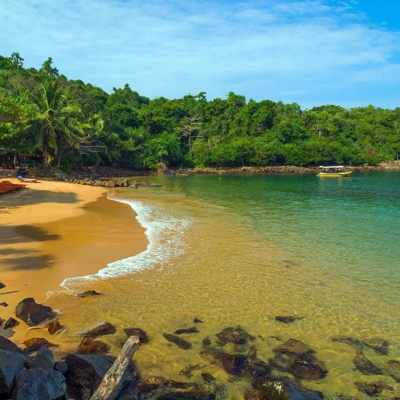 Jungle Beach
