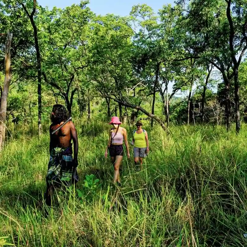 A Forest Walk with the Indigenous Vedda Chief