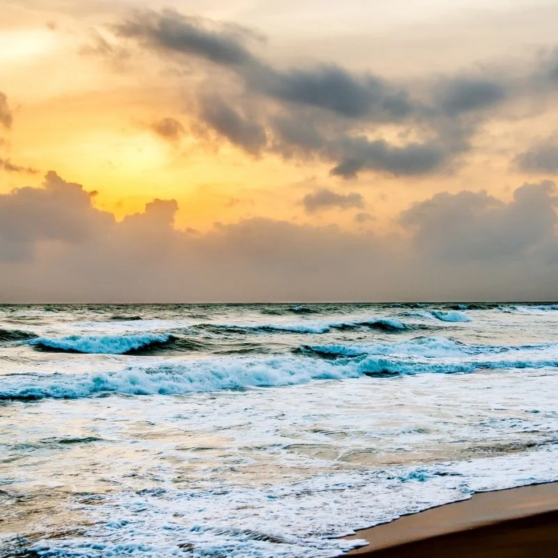 Catch a Magical Tropical Sunset