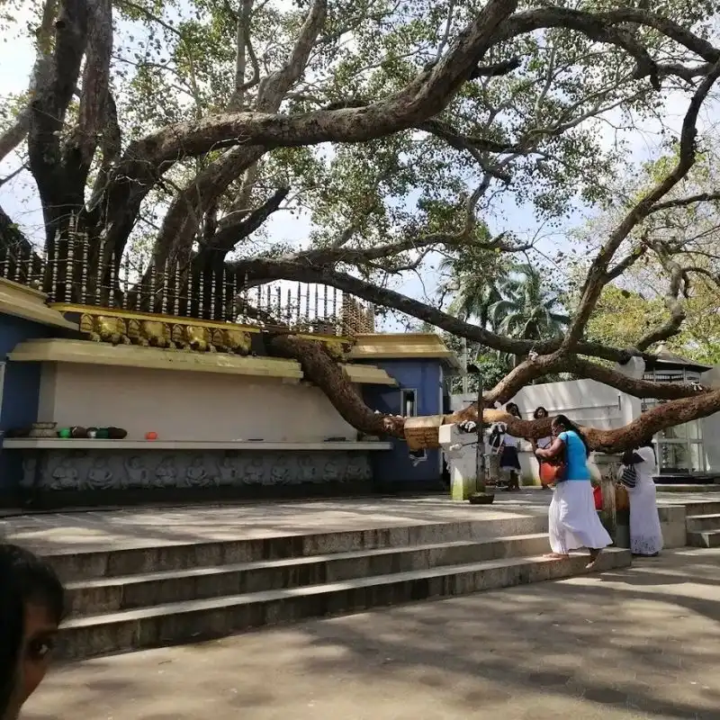 Explore the Intricate Bodhighara Shrine