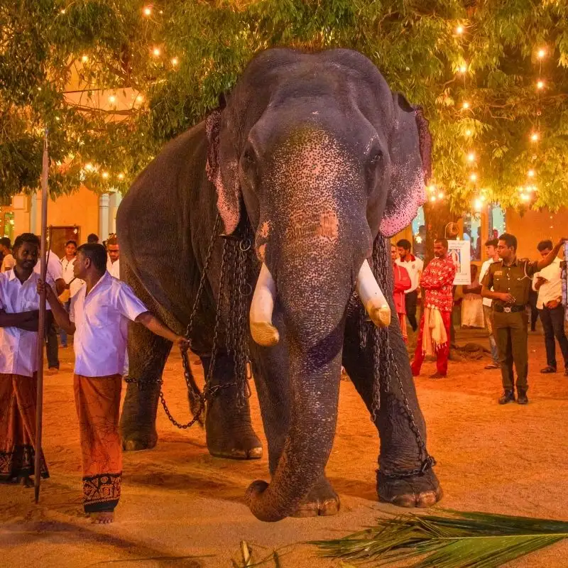 Kataragama