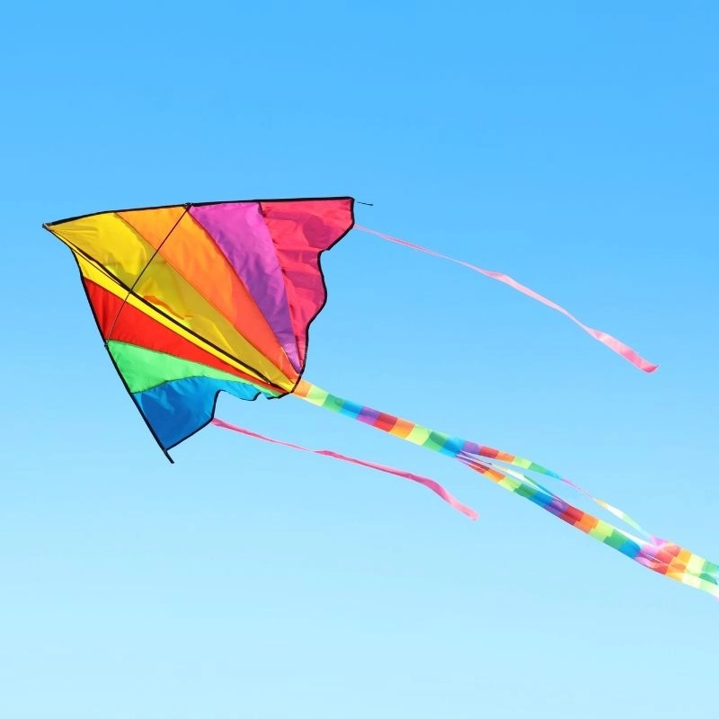 Fly Kites with Local Families