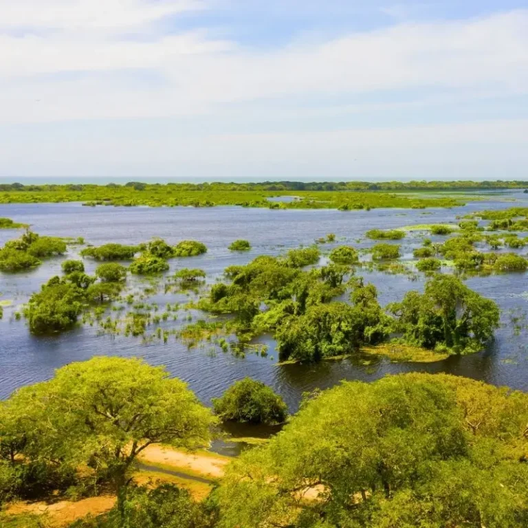 Kumana National park