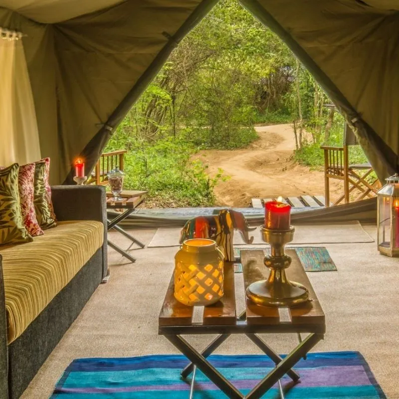 A Night in a Luxury Safari Camp