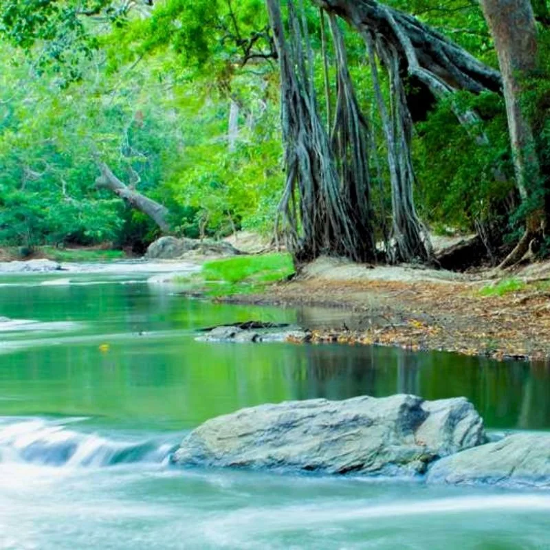 Cleanse Your Feet in the Menik Ganga