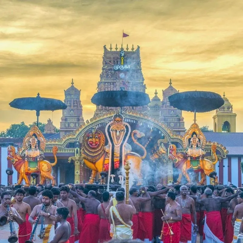 Participate in the Grand Nallur Festival