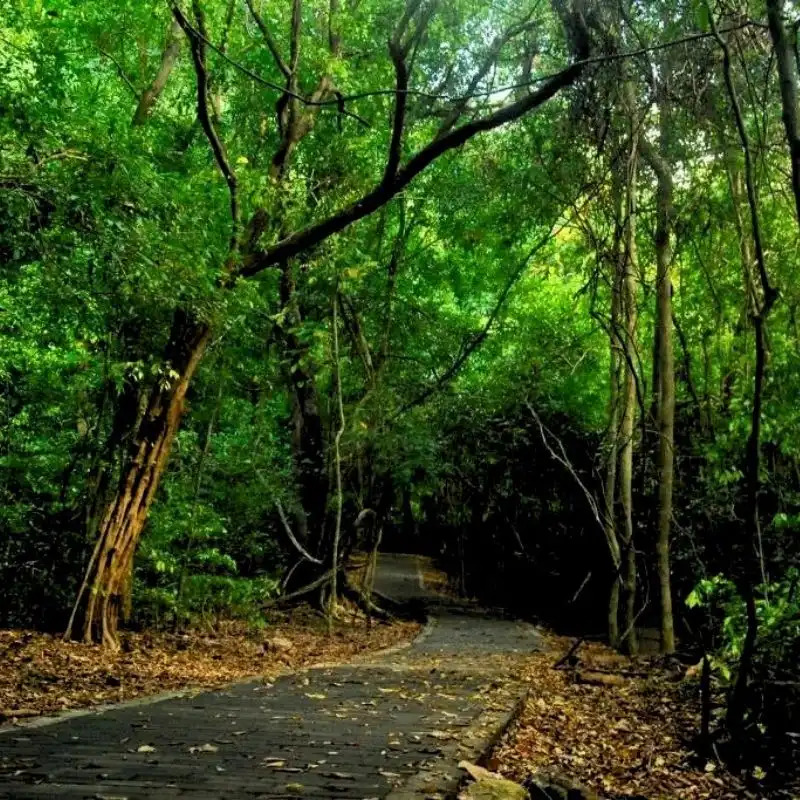 Jathika Namal Uyana