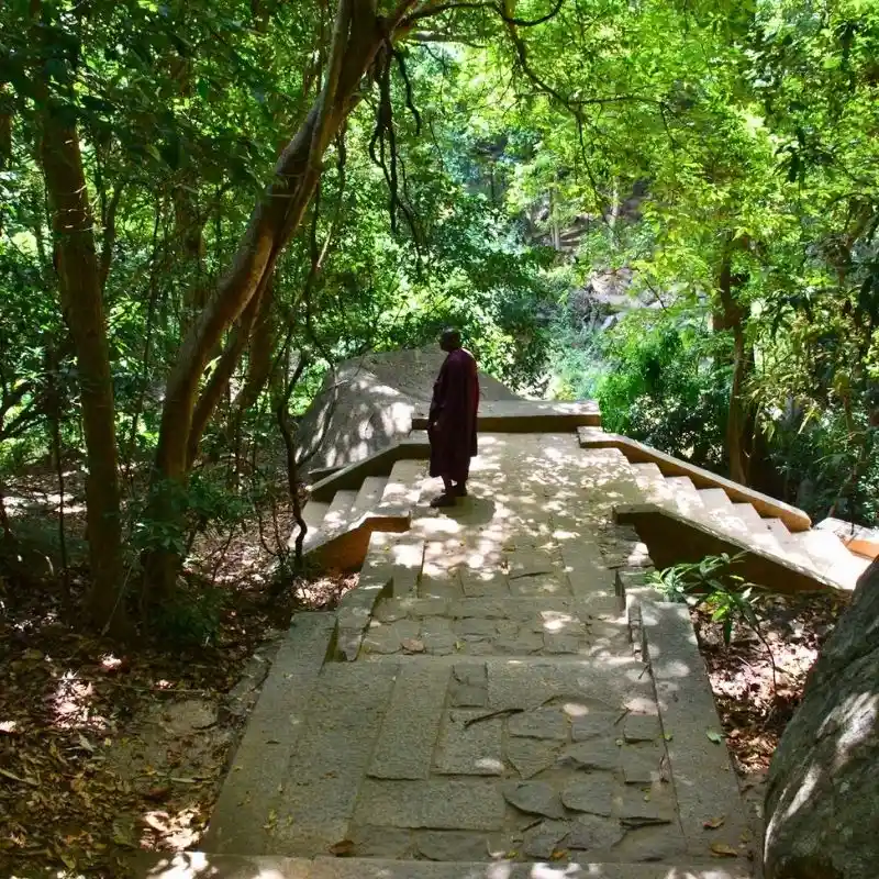 Trekking the Ancient Stone Pathway