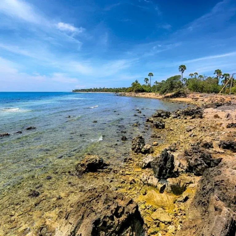 Delft Island & National Park