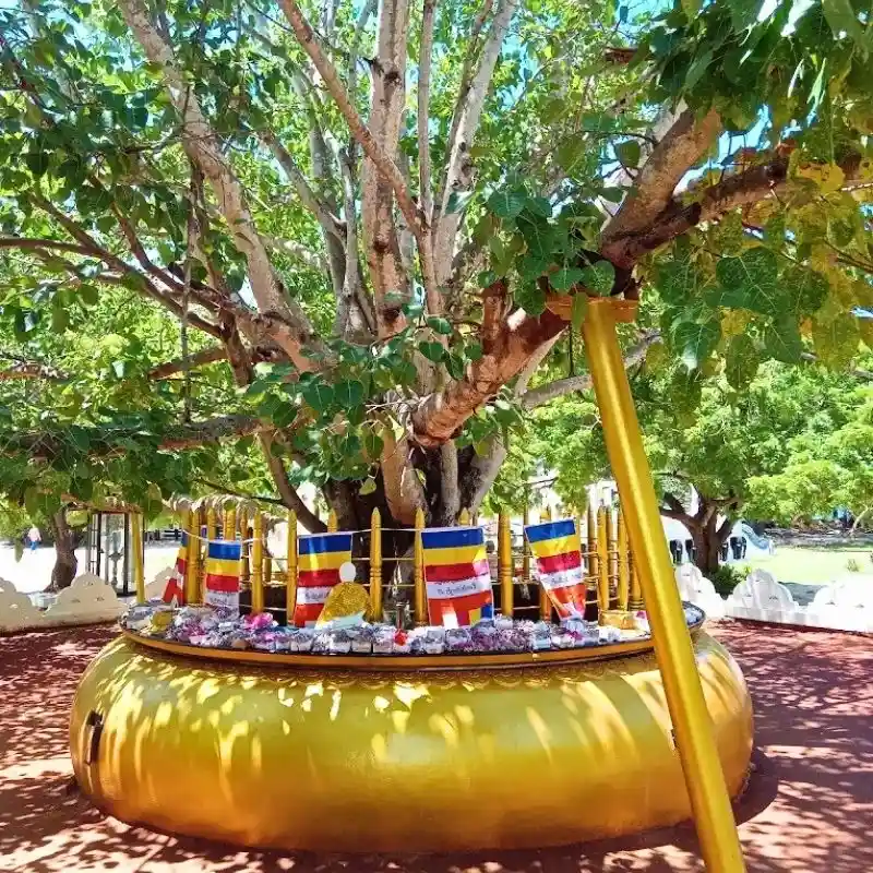 Marvel at the Sanghamitta Statue & Sacred Bodhi Tree