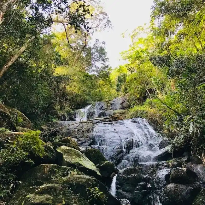 Hidden Waterfall Hikes and Natural Fish Spas