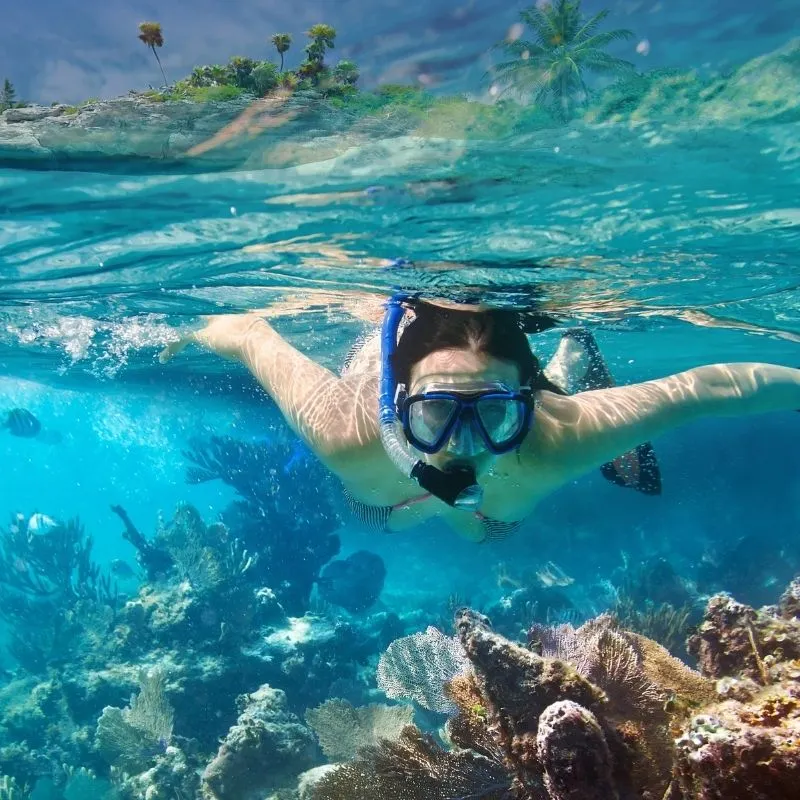 Snorkeling with Marine Life