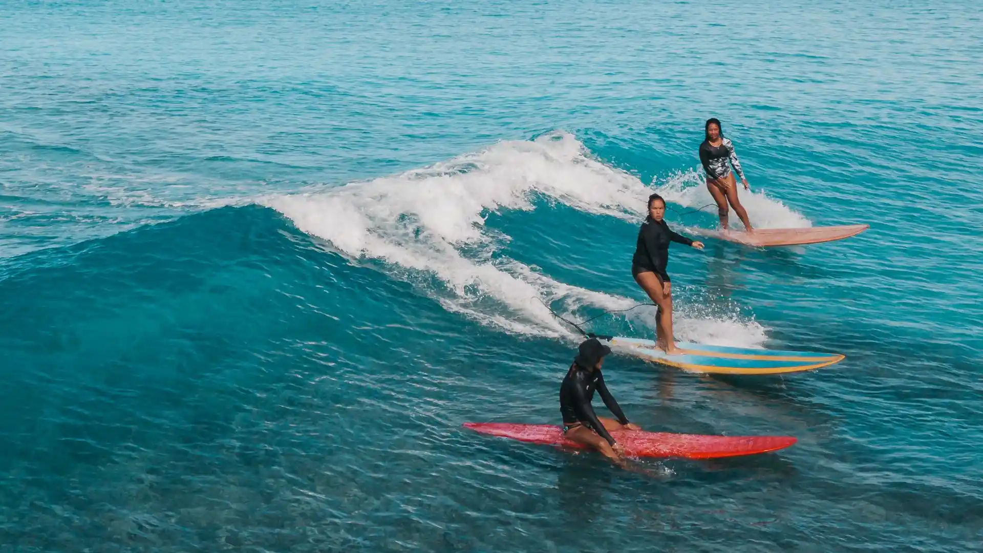 Surfing & Diving