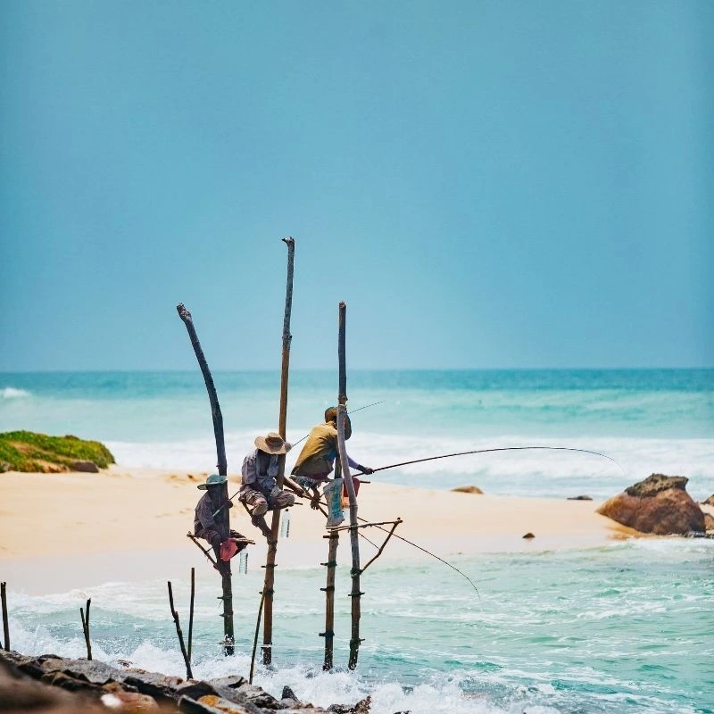 Watch Traditional Stilt Fishermen