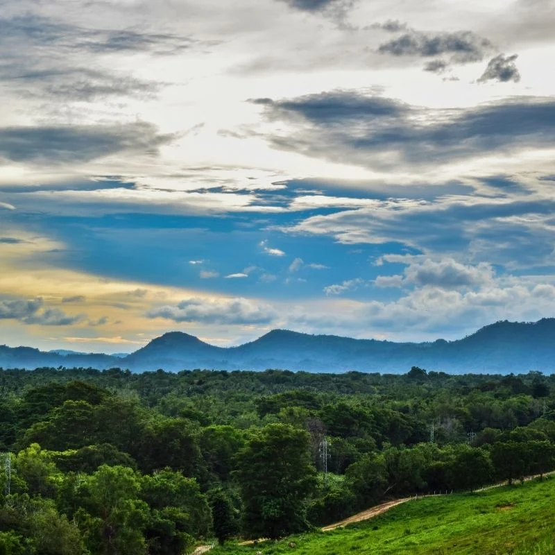 Sunset Photography by the Udawalawe Reservoir