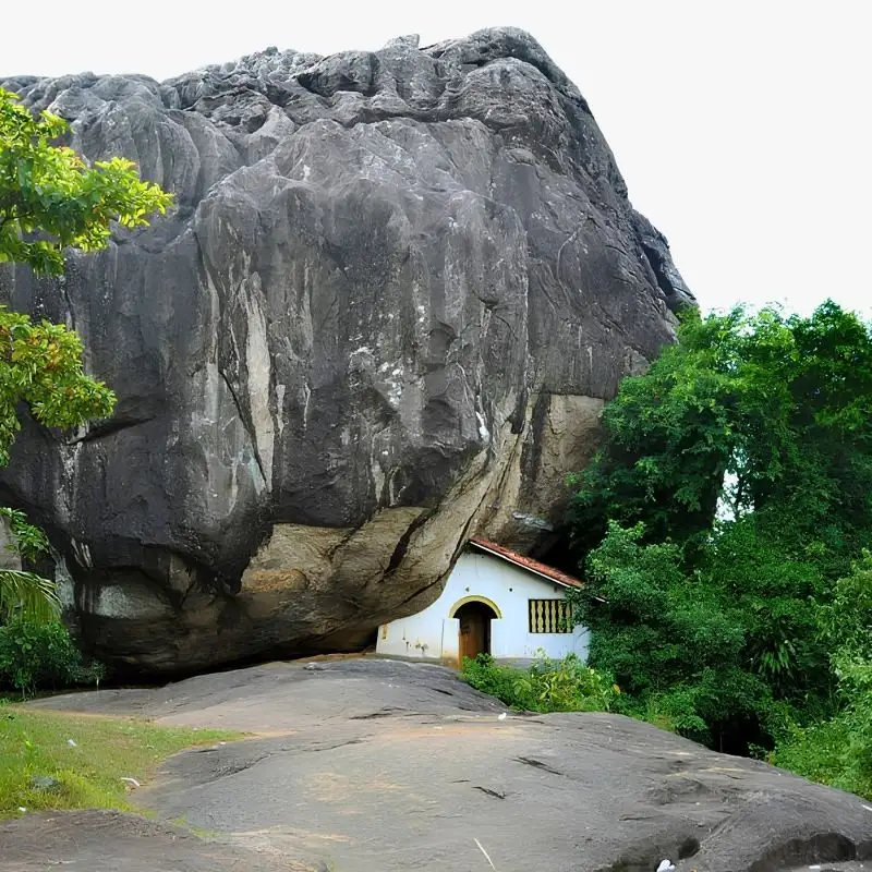 Discovering the Hidden Forest Hermitage Caves