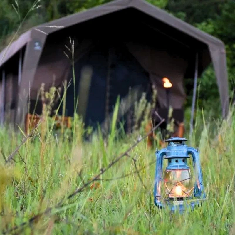 True Wilderness Camping