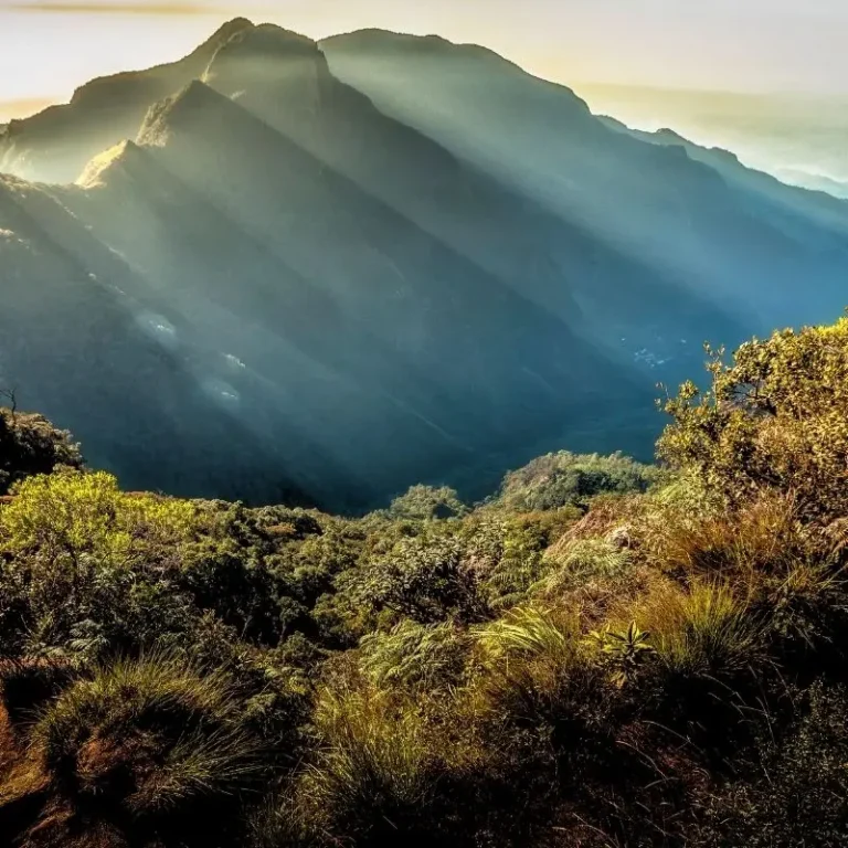 Horton Plains National Park