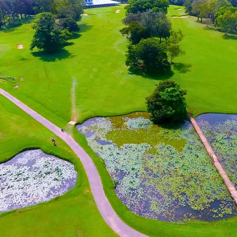 Play a Historic 18 Holes