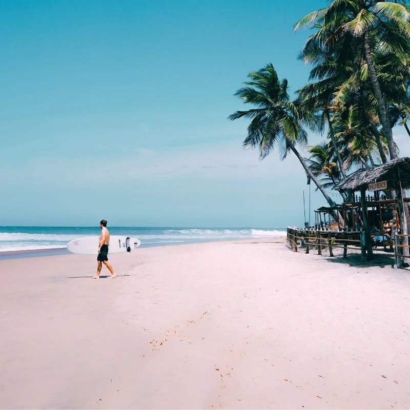 A surfer carrying a surfboard walks along the sunny golden sandy shore at Upali Beach in Arugam Bay, Sri Lanka, surrounded by tropical coconut palm trees and a rustic beach shack—a world-famous surf point for global travelers.